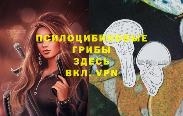 мяу мяу мука Белоозёрский