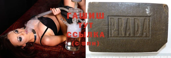 стаф Белокуриха