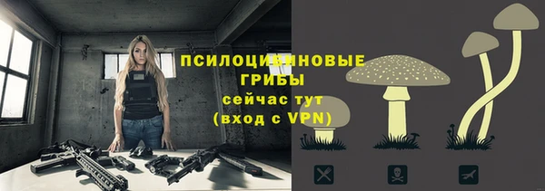 мяу мяу мука Белоозёрский