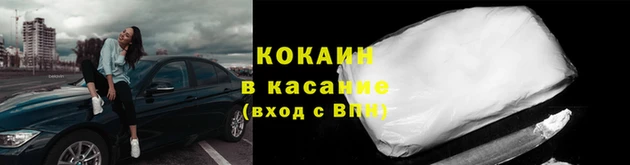 стаф Белокуриха