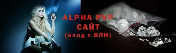 стаф Белокуриха