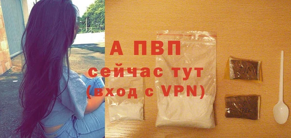 стаф Белокуриха