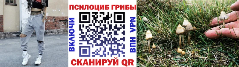 Галлюциногенные грибы GOLDEN TEACHER Кировск