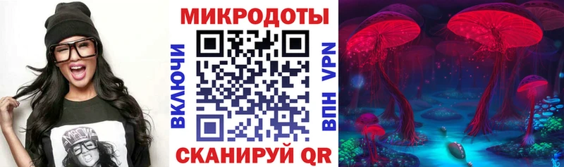 продажа наркотиков  Кировск  мега ТОР  Псилоцибиновые грибы Cubensis 