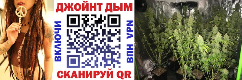 Канабис OG Kush  Кировск 